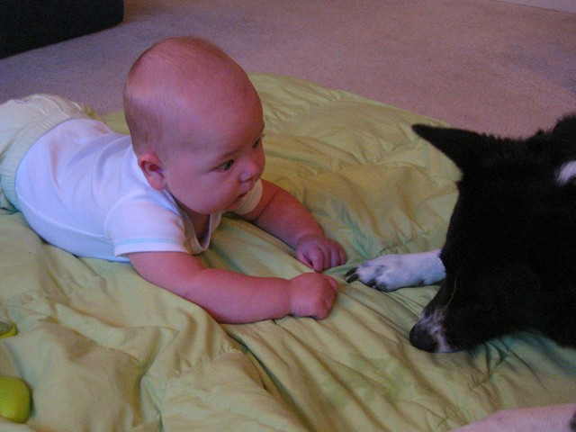 Ethan Nicholas Abad - 2006-09-11, photo 39