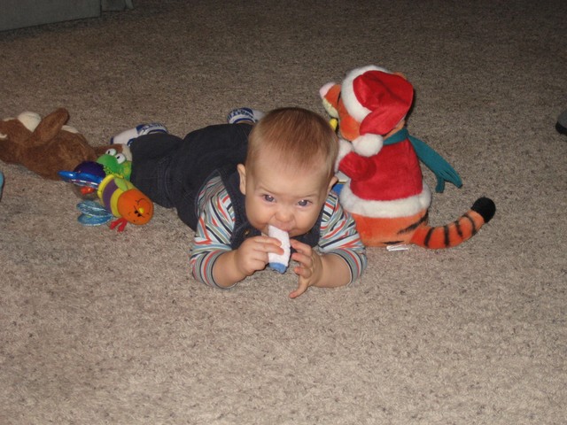Christmas 2006, photo 3