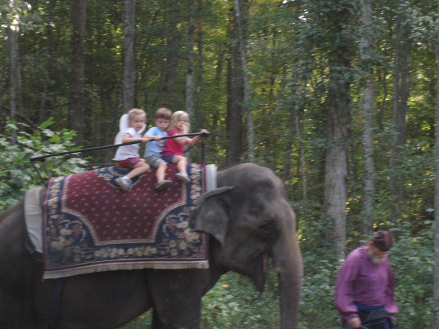 Renaissance Festival - October 2007, photo 27