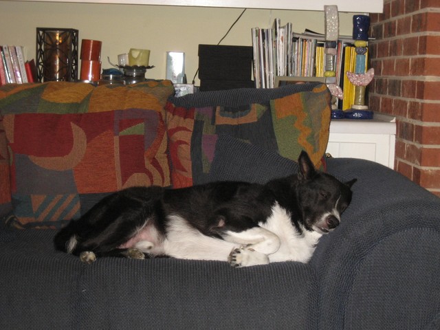 Halloween - 2007, photo 18