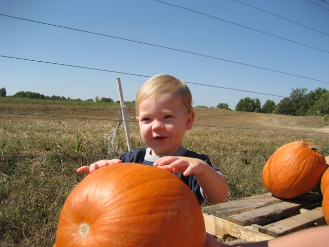 Halloween - 2007, photo 28