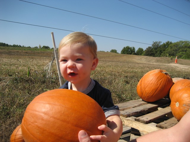 Halloween - 2007, photo 29