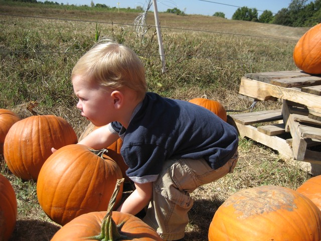 Halloween - 2007, photo 30