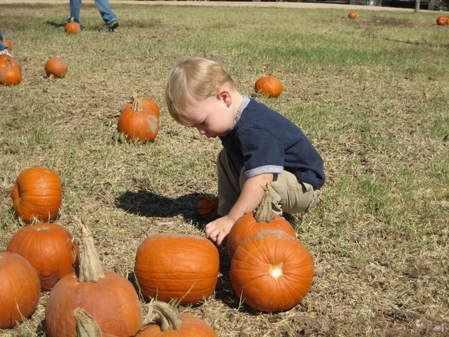 Halloween - 2007, photo 35
