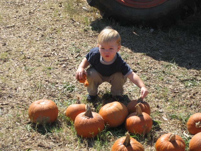 Halloween - 2007, photo 36
