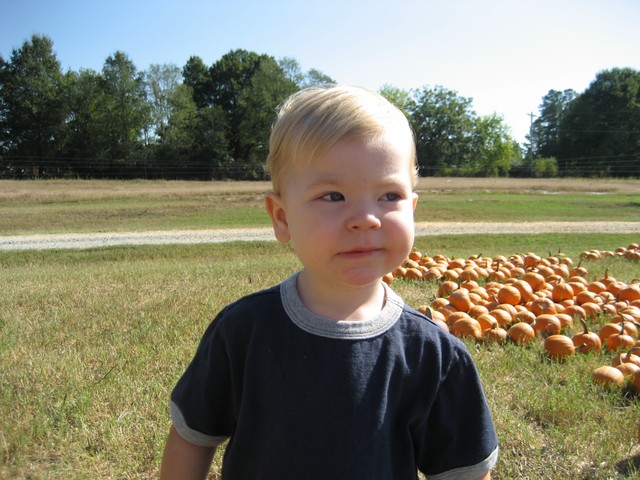 Halloween - 2007, photo 70