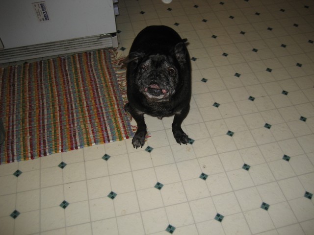 Harpua, photo 1
