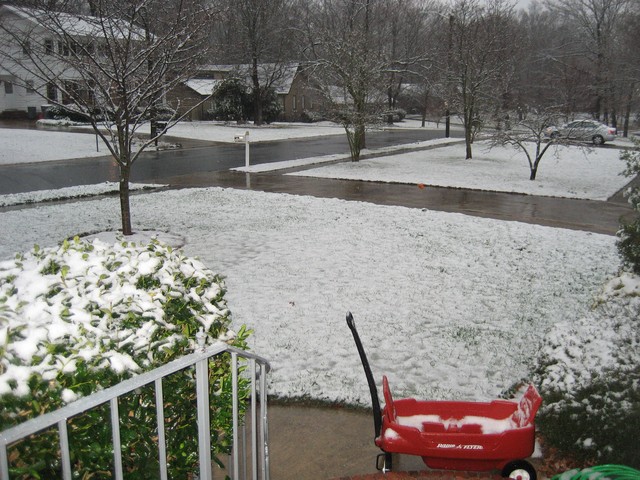 Snow - January 2008, photo 1
