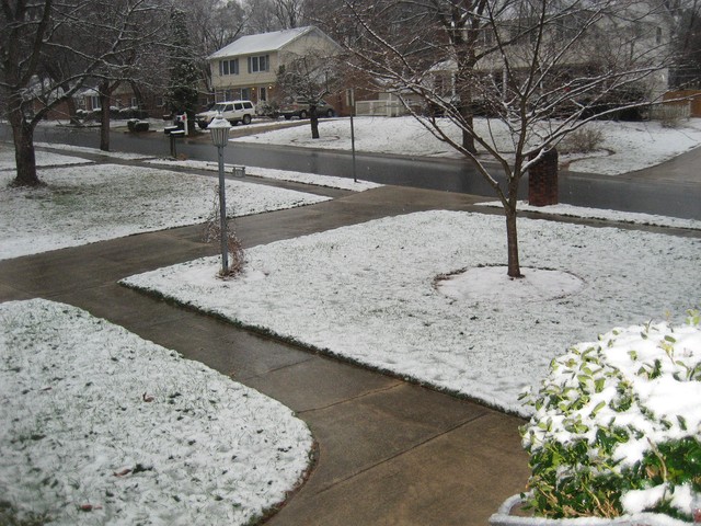 Snow - January 2008, photo 2