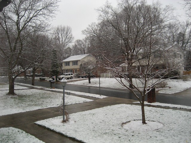 Snow - January 2008, photo 3