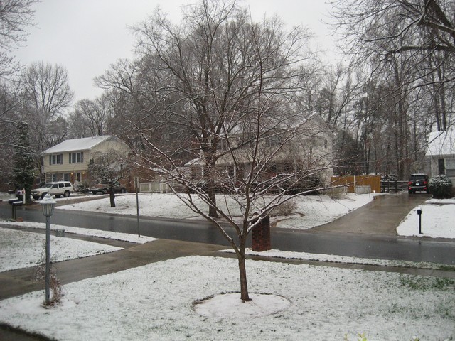 Snow - January 2008, photo 4