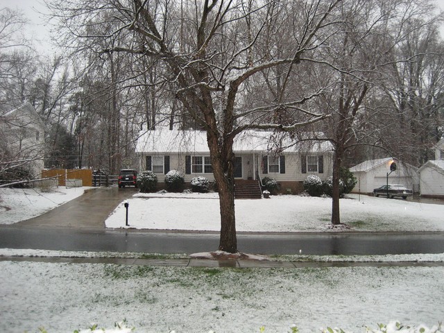 Snow - January 2008, photo 5