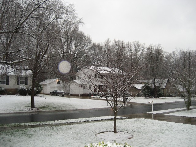 Snow - January 2008, photo 6
