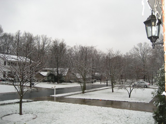 Snow - January 2008, photo 7