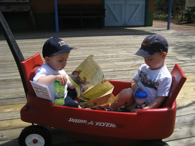 Zoo 2008, photo 1