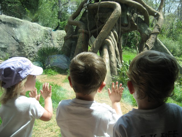 Zoo 2008, photo 5