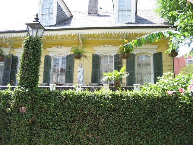 New Orleans 2008 - Around the City Adventures, photo 118