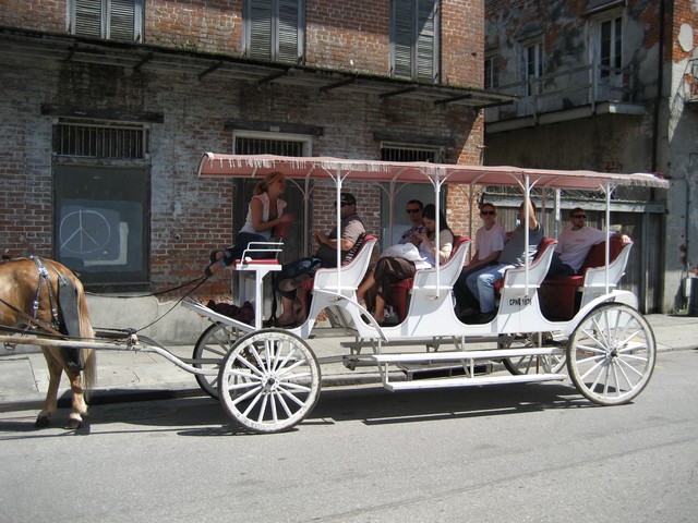 New Orleans 2008 - Around the City Adventures, photo 162