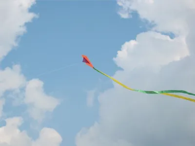 The Spirit of Bonaroo!