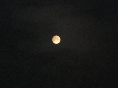 The Moon