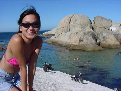 Huh! Are those Penguins in the Background?