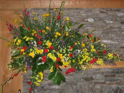 Photo 7