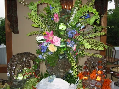Photo 26