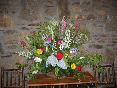 Photo 42