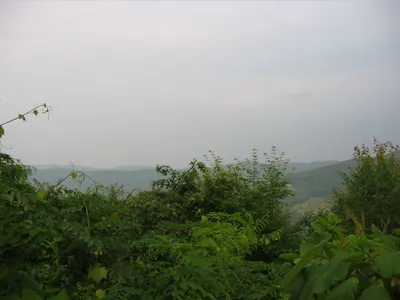 Photo 47