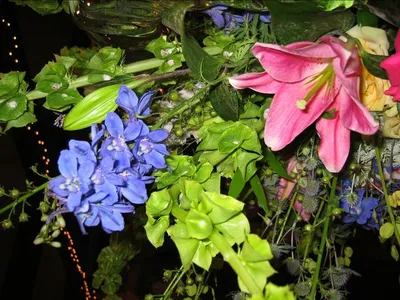 Photo 39