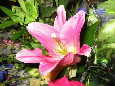 Photo 40
