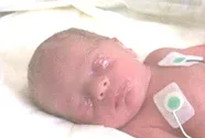 Tyler Evan D'Agostino Nov. 27, 2001