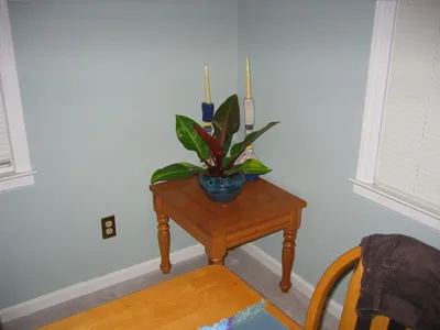 Photo 33