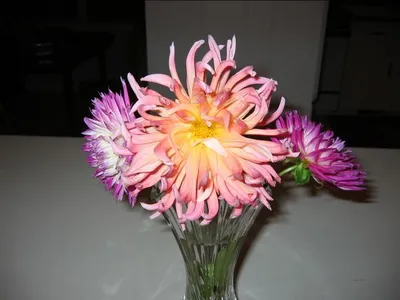 Photo 45