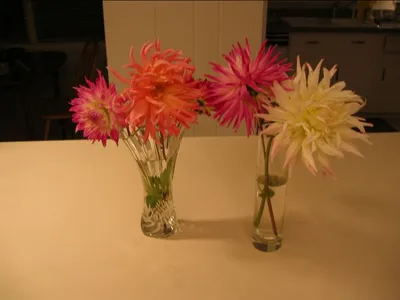 Photo 48