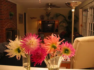 Photo 49