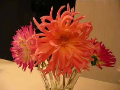 Photo 52