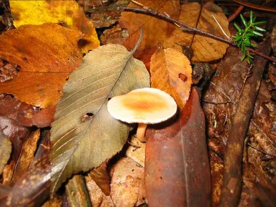 Photo 27