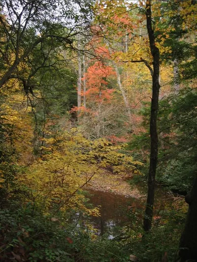 Photo 42