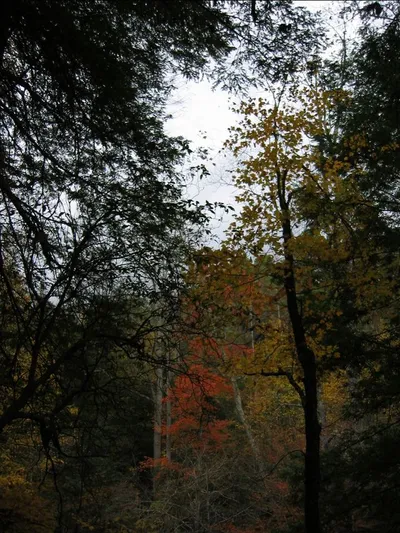 Photo 43