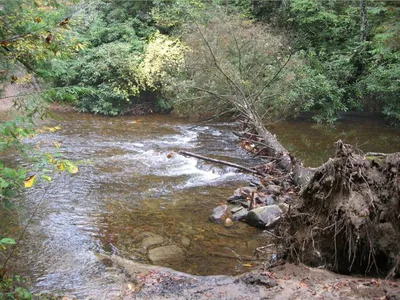 Photo 47