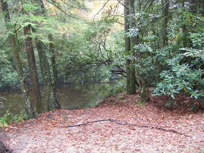 Photo 48