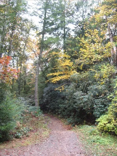 Photo 49