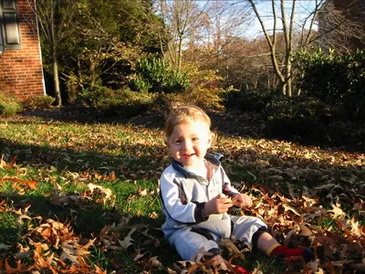 Lovin' the leaves