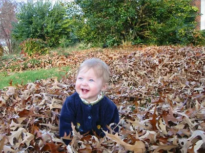 Burried in the pile