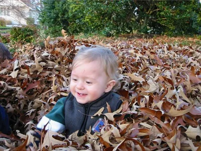 Really burried in the leaves!