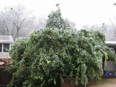 Photo 56