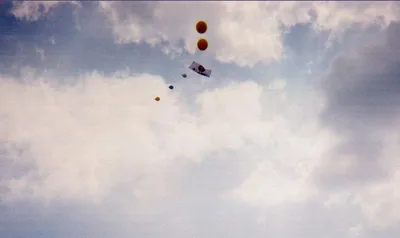 David's Balloons