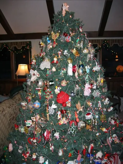 Photo 10