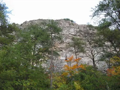Photo 22